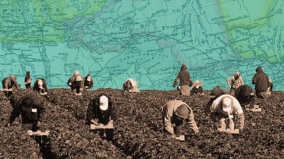 “Perfected in Canada”: the racist exploitation of migrants