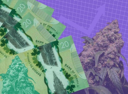 As speculation lights up cannabis industry, workers are unionizing 