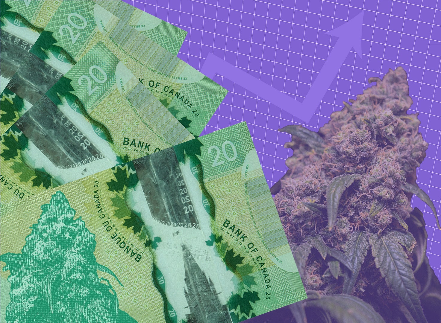 As speculation lights up cannabis industry, workers are unionizing 