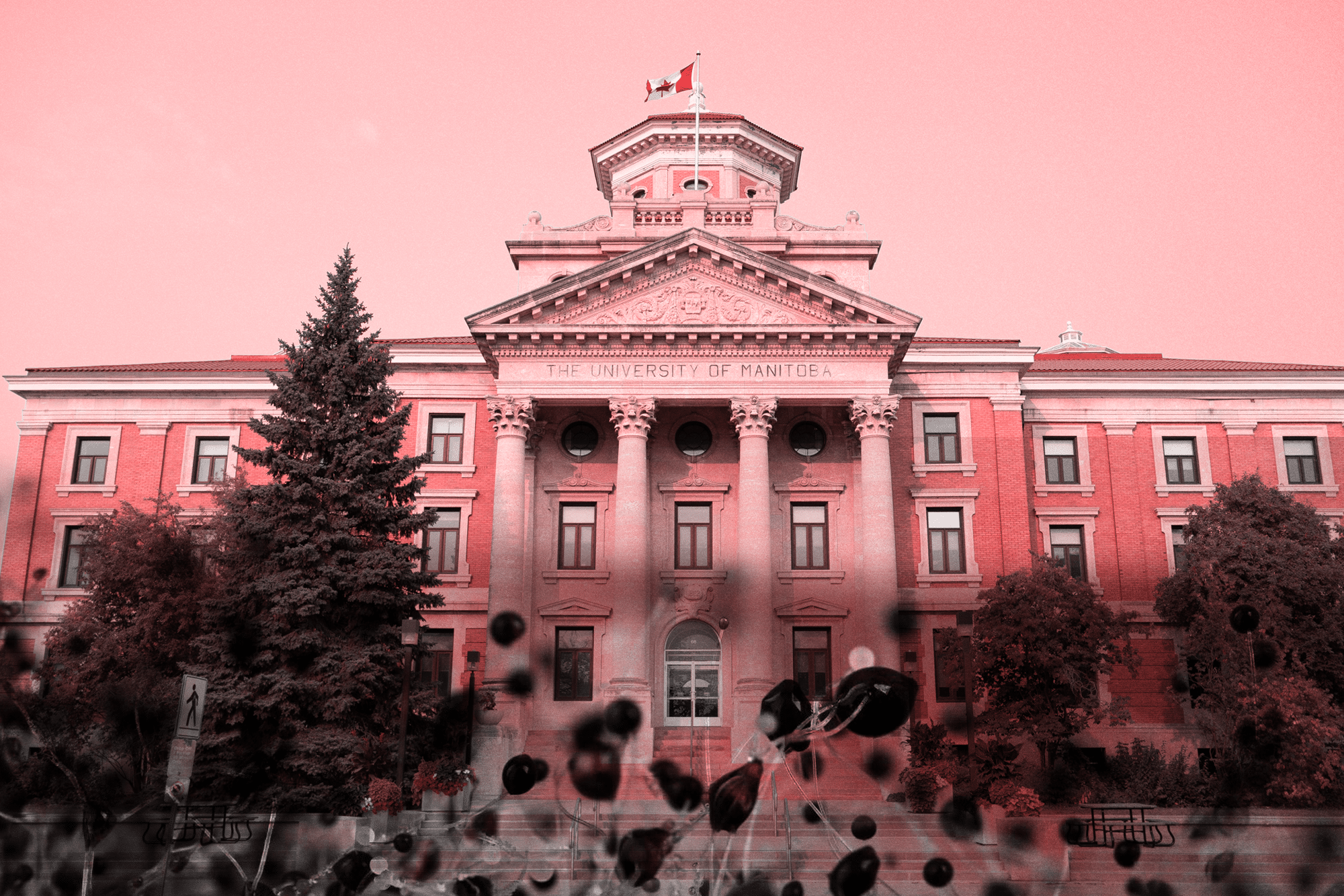 Faculty, students fight to hold post-secondary privatization at bay