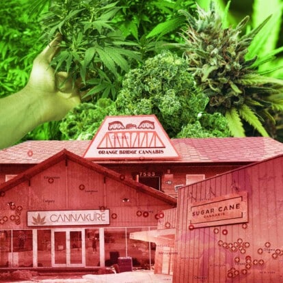 Decolonizing cannabis
