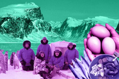 Imagining an economy for Nunavut beyond extraction