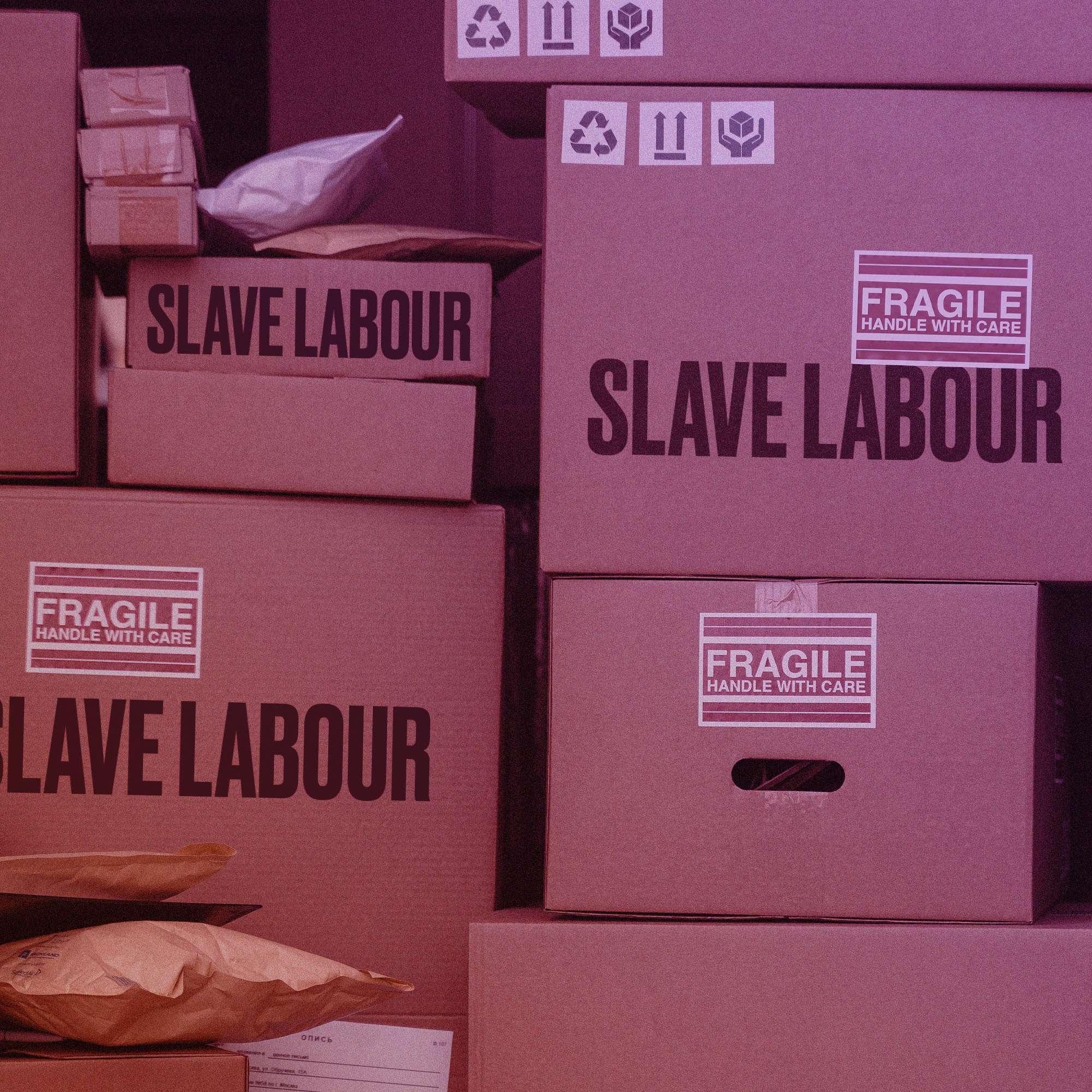 Liberal bill to ban forced-labour imports is a smoke screen, critics say