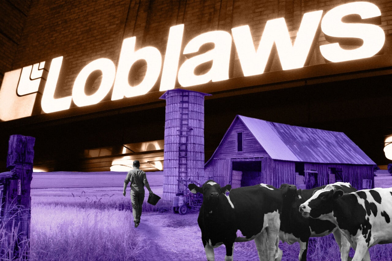 a bright loblaws sign shines behind a farmer's field