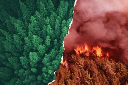 While Canadians choke on toxins, Big Oil hides behind smoke and mirrors