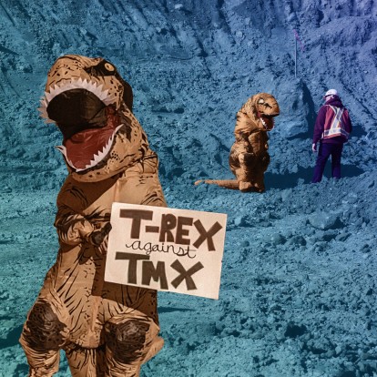 To stop a pipeline, a three-week jail sentence was a small price to pay