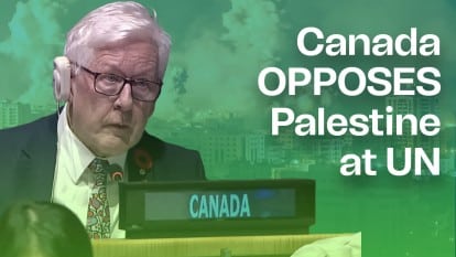 Canada has voted against Palestine 150 times at UN in past decade
