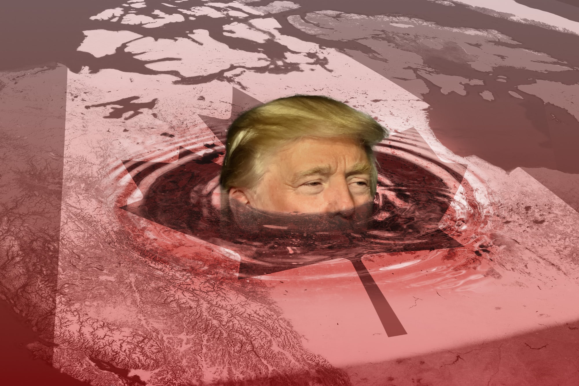 Donald Trump emerges from a puddle at the centre of the Canadian flag.