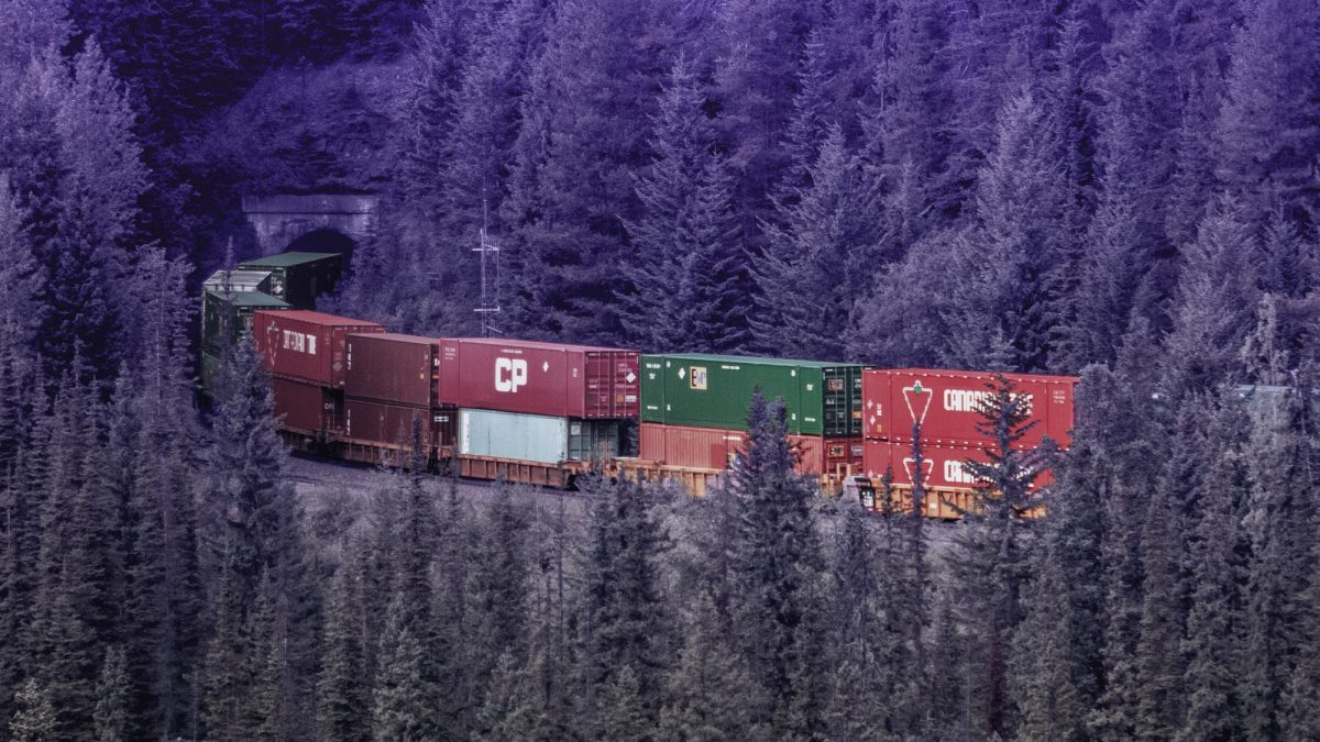A CN freight train travels through a forest