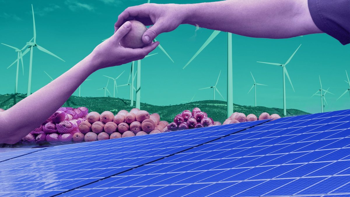 Hands pass potato with windmills in background