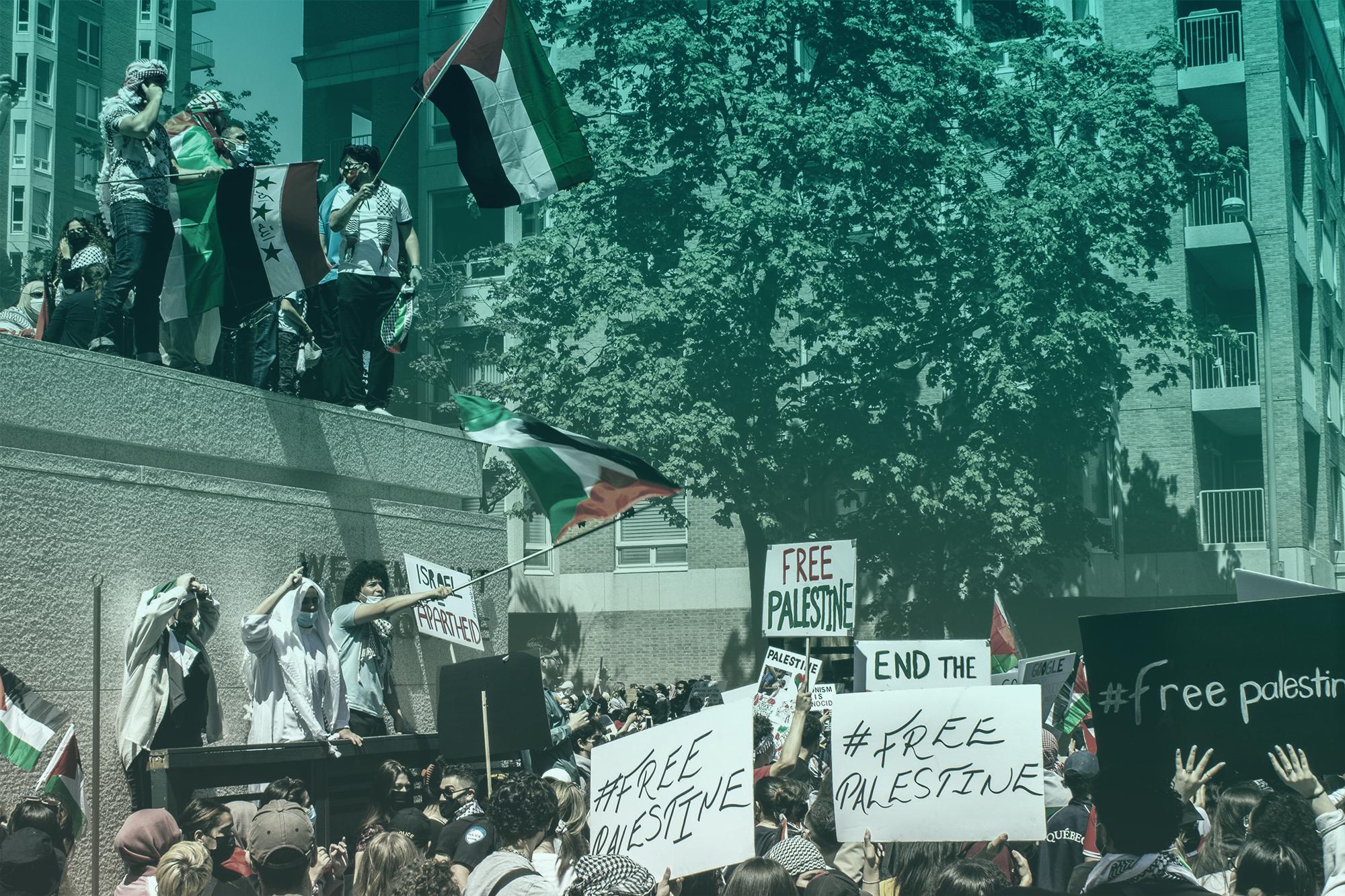 New hate crime law is a cover for suppressing Palestine protests
